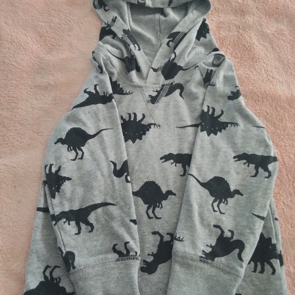 Thin long sleeve hoodie